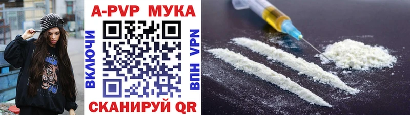 Купить где  Салаир  A PVP СК 