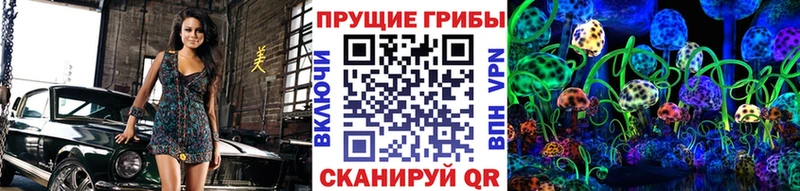 Купить  Салаир  Галлюциногенные грибы прущие грибы 